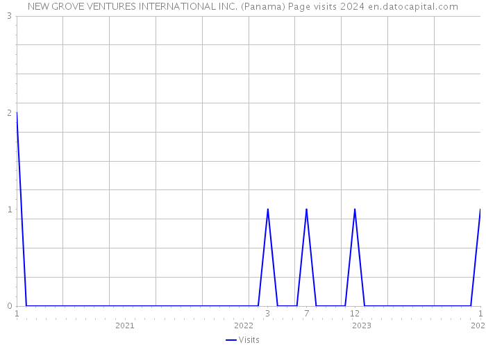 NEW GROVE VENTURES INTERNATIONAL INC. (Panama) Page visits 2024 