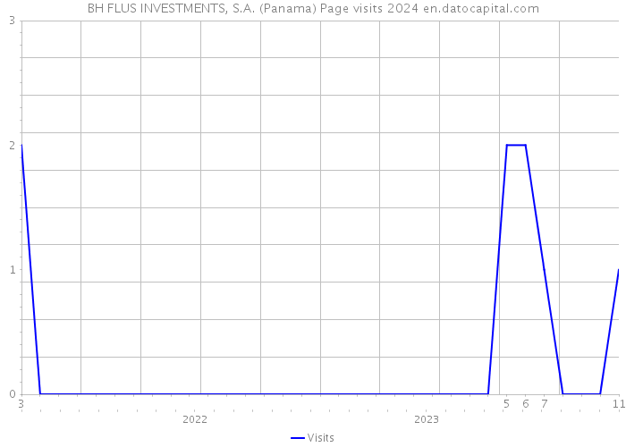 BH FLUS INVESTMENTS, S.A. (Panama) Page visits 2024 