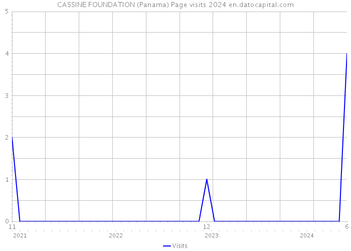 CASSINE FOUNDATION (Panama) Page visits 2024 