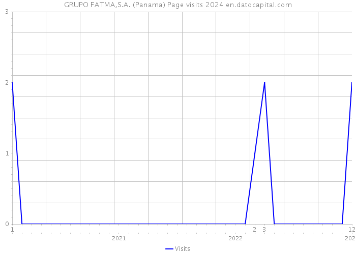 GRUPO FATMA,S.A. (Panama) Page visits 2024 
