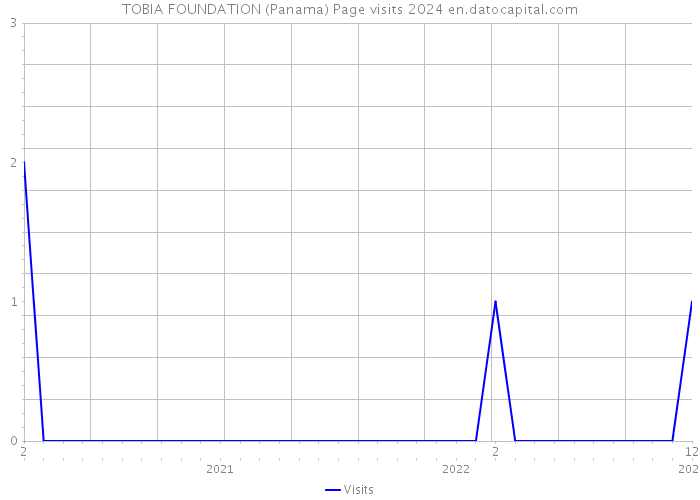 TOBIA FOUNDATION (Panama) Page visits 2024 