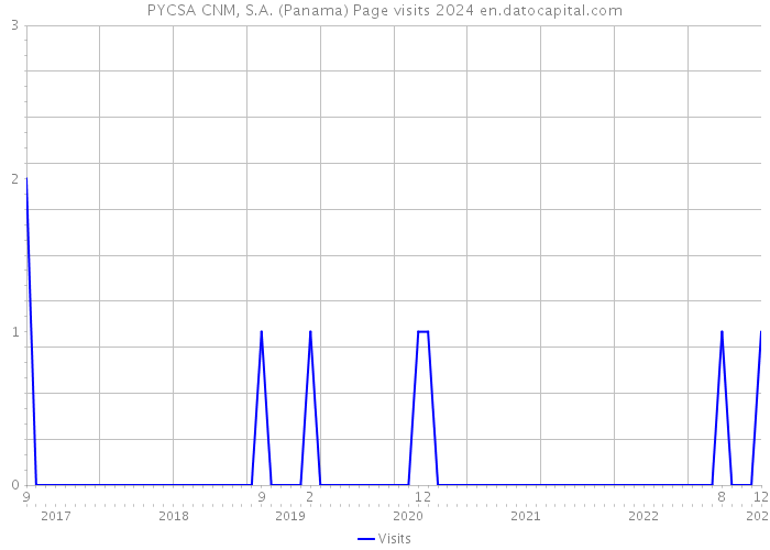 PYCSA CNM, S.A. (Panama) Page visits 2024 
