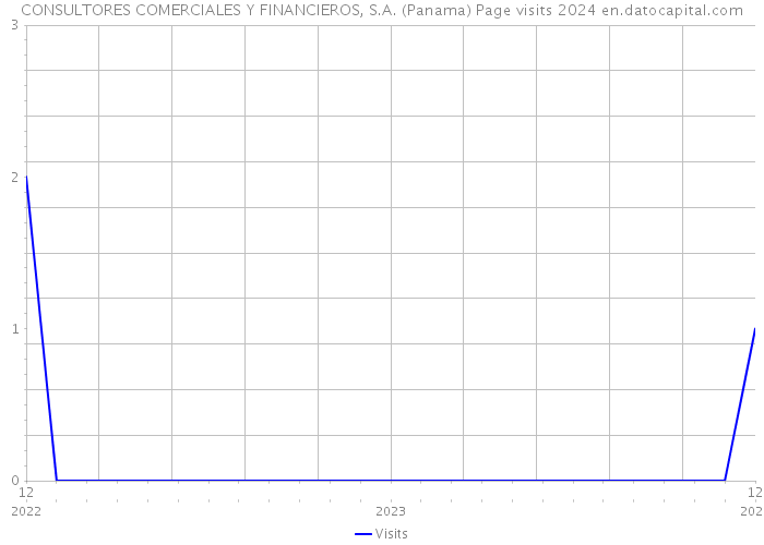 CONSULTORES COMERCIALES Y FINANCIEROS, S.A. (Panama) Page visits 2024 