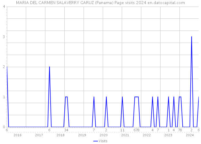 MARIA DEL CARMEN SALAVERRY GARUZ (Panama) Page visits 2024 