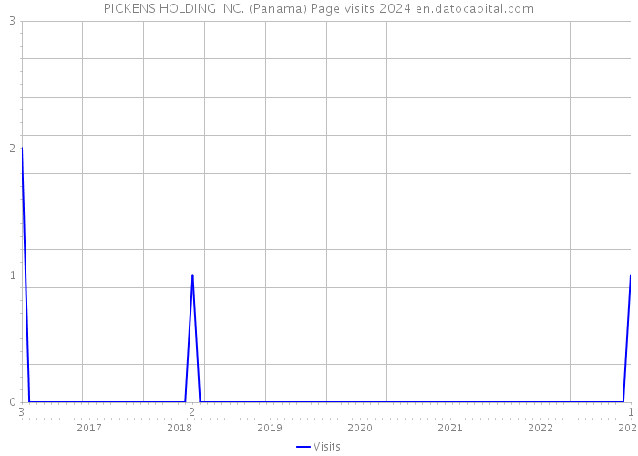 PICKENS HOLDING INC. (Panama) Page visits 2024 