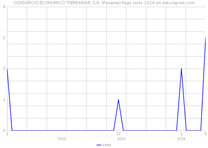 CONSORCIO ECONOMICO TIERRAMAR, S.A. (Panama) Page visits 2024 