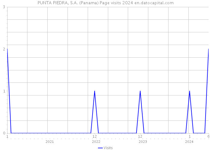 PUNTA PIEDRA, S.A. (Panama) Page visits 2024 