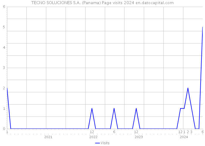 TECNO SOLUCIONES S.A. (Panama) Page visits 2024 