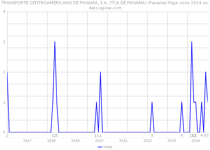 TRANSPORTE CENTROAMERICANO DE PANAMA, S.A. (TCA DE PANAMA) (Panama) Page visits 2024 