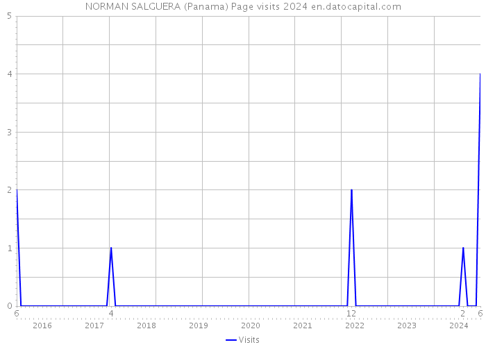 NORMAN SALGUERA (Panama) Page visits 2024 
