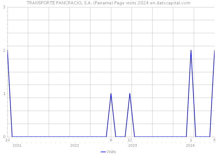 TRANSPORTE PANCRACIO, S.A. (Panama) Page visits 2024 