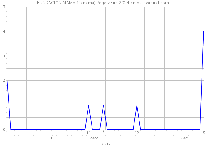 FUNDACION MAMA (Panama) Page visits 2024 