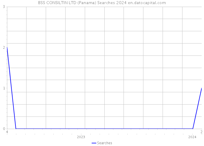 BSS CONSILTIN LTD (Panama) Searches 2024 