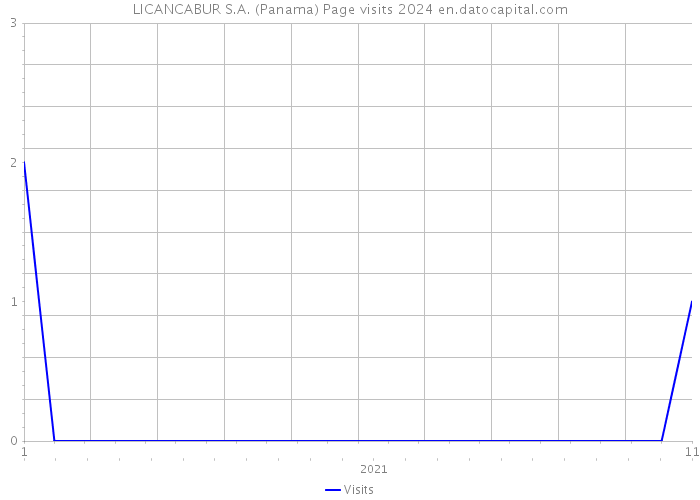 LICANCABUR S.A. (Panama) Page visits 2024 