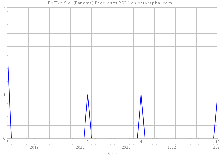 PATNA S.A. (Panama) Page visits 2024 