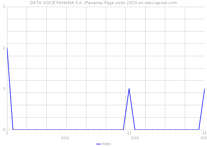 DATA VOICE PANAMA S.A. (Panama) Page visits 2024 