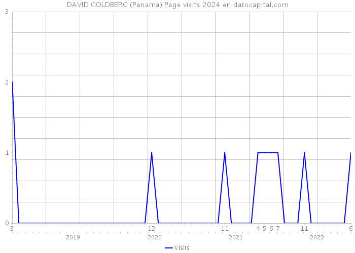 DAVID GOLDBERG (Panama) Page visits 2024 