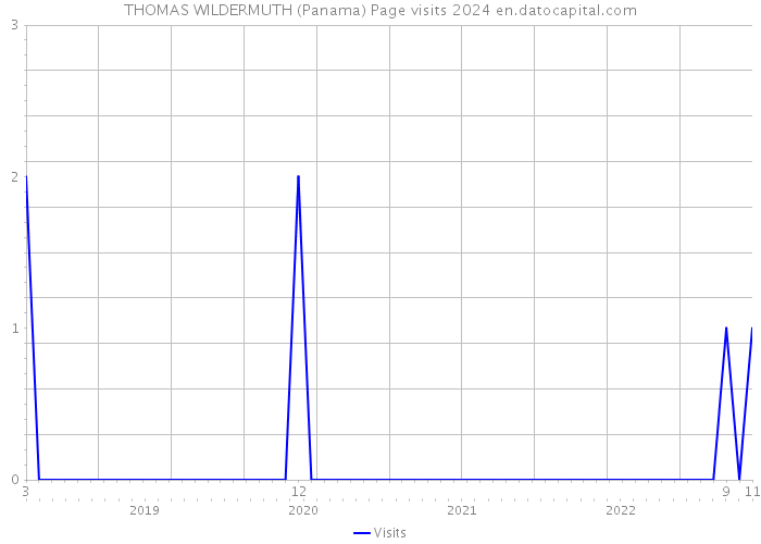 THOMAS WILDERMUTH (Panama) Page visits 2024 