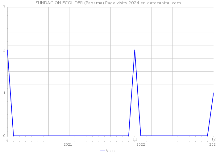 FUNDACION ECOLIDER (Panama) Page visits 2024 