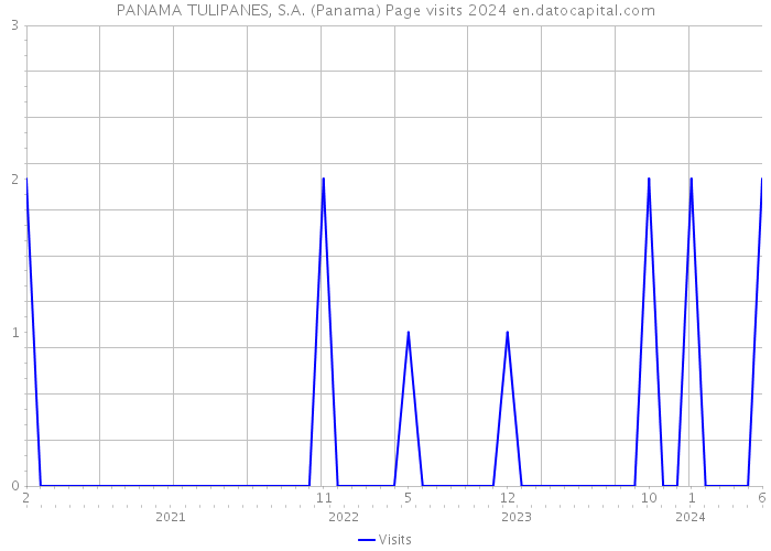 PANAMA TULIPANES, S.A. (Panama) Page visits 2024 