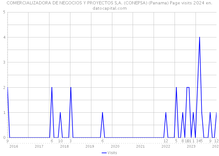 COMERCIALIZADORA DE NEGOCIOS Y PROYECTOS S,A. (CONEPSA) (Panama) Page visits 2024 