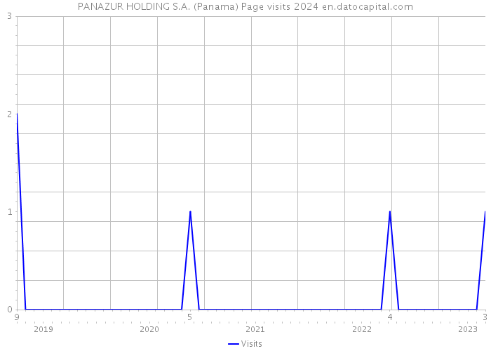 PANAZUR HOLDING S.A. (Panama) Page visits 2024 