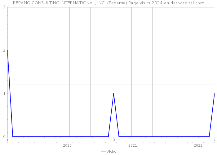 REPANO CONSULTING INTERNATIONAL, INC. (Panama) Page visits 2024 