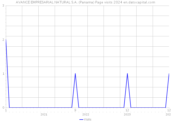 AVANCE EMPRESARIAL NATURAL S.A. (Panama) Page visits 2024 