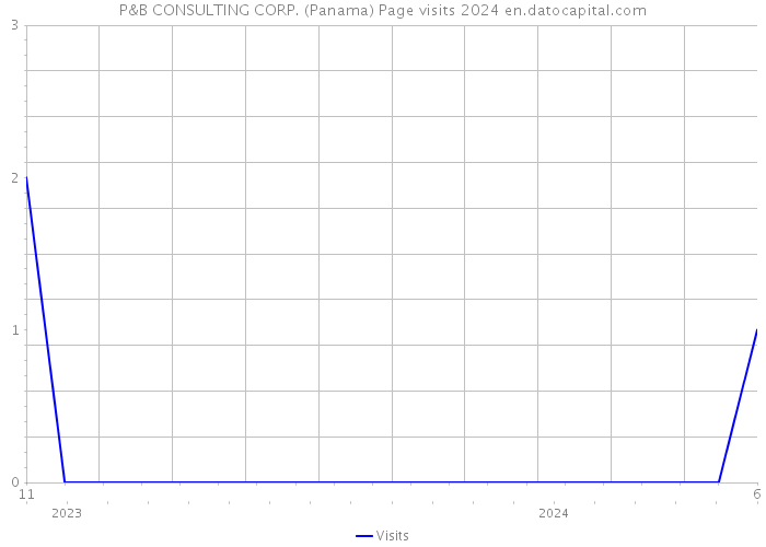 P&B CONSULTING CORP. (Panama) Page visits 2024 