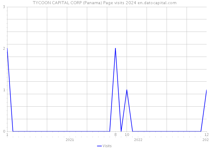 TYCOON CAPITAL CORP (Panama) Page visits 2024 