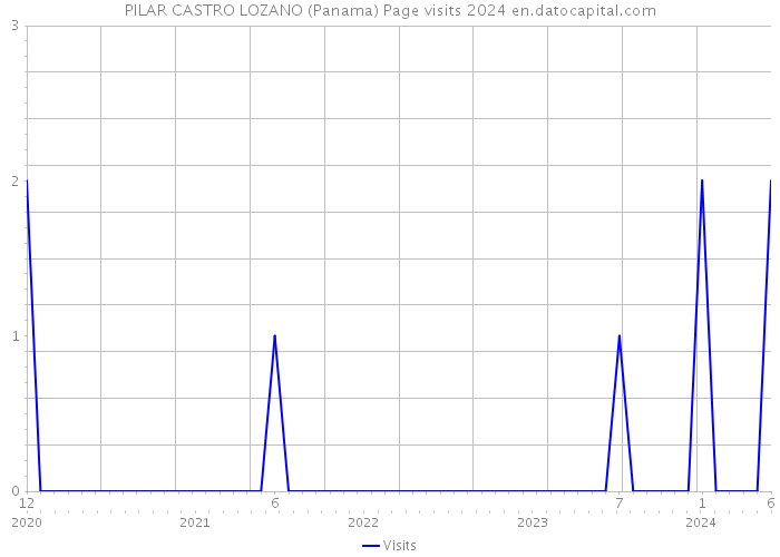 PILAR CASTRO LOZANO (Panama) Page visits 2024 