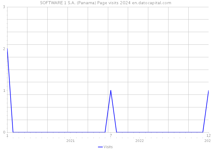 SOFTWARE 1 S.A. (Panama) Page visits 2024 