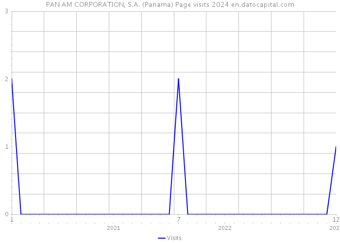 PAN AM CORPORATION, S.A. (Panama) Page visits 2024 