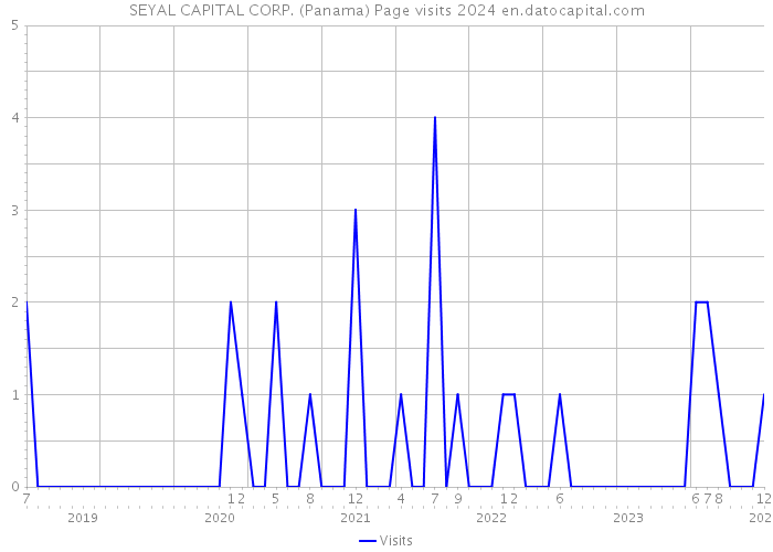 SEYAL CAPITAL CORP. (Panama) Page visits 2024 