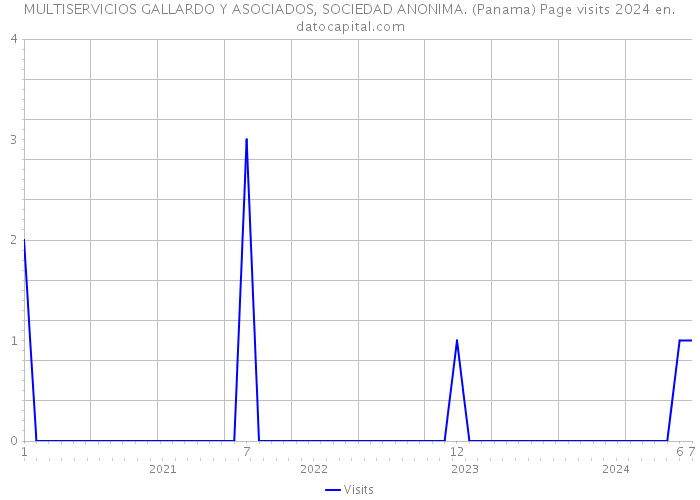 MULTISERVICIOS GALLARDO Y ASOCIADOS, SOCIEDAD ANONIMA. (Panama) Page visits 2024 