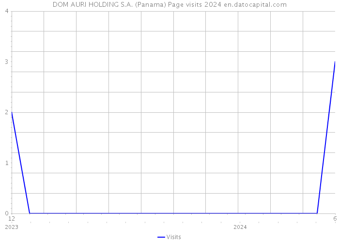 DOM AURI HOLDING S.A. (Panama) Page visits 2024 