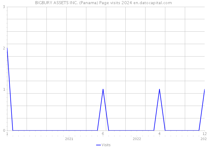 BIGBURY ASSETS INC. (Panama) Page visits 2024 
