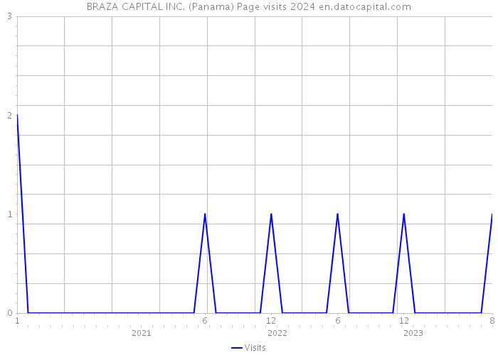BRAZA CAPITAL INC. (Panama) Page visits 2024 