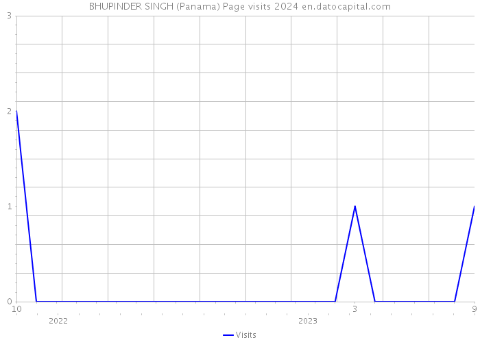 BHUPINDER SINGH (Panama) Page visits 2024 