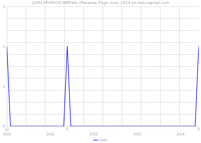JUAN APARICIO BERNAL (Panama) Page visits 2024 
