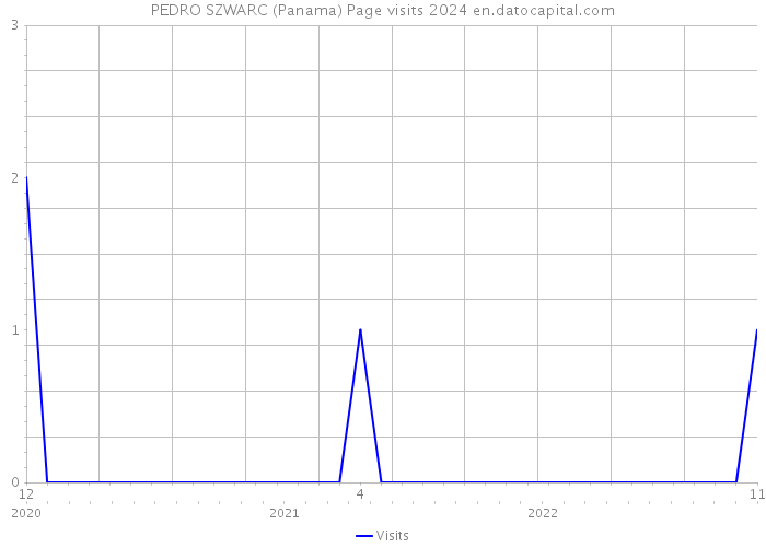 PEDRO SZWARC (Panama) Page visits 2024 