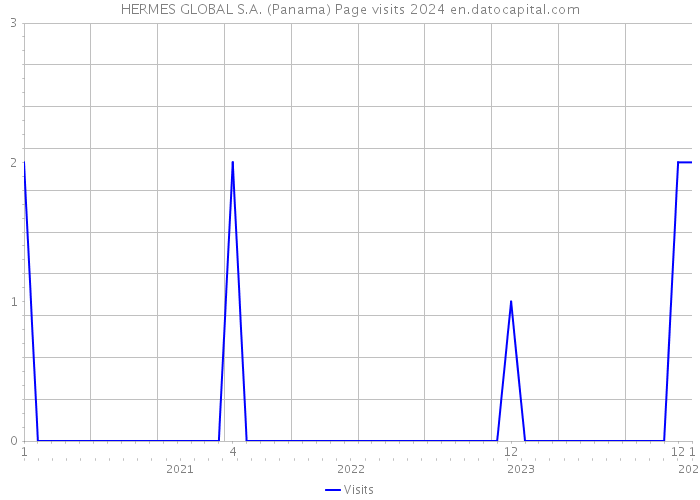HERMES GLOBAL S.A. (Panama) Page visits 2024 