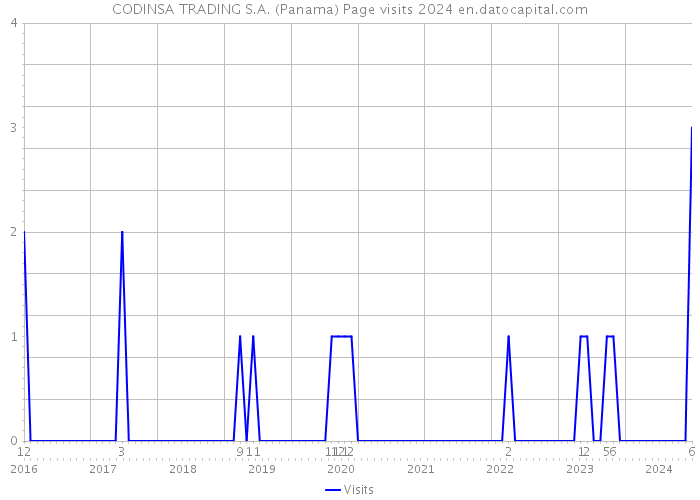 CODINSA TRADING S.A. (Panama) Page visits 2024 