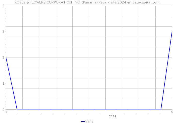 ROSES & FLOWERS CORPORATION, INC. (Panama) Page visits 2024 
