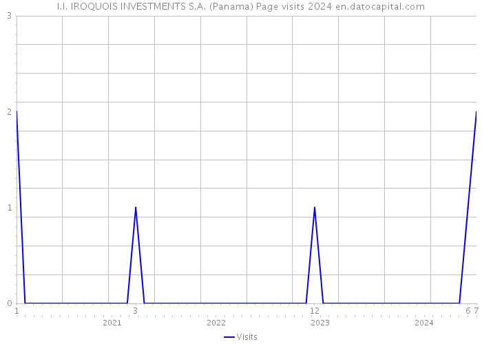 I.I. IROQUOIS INVESTMENTS S.A. (Panama) Page visits 2024 