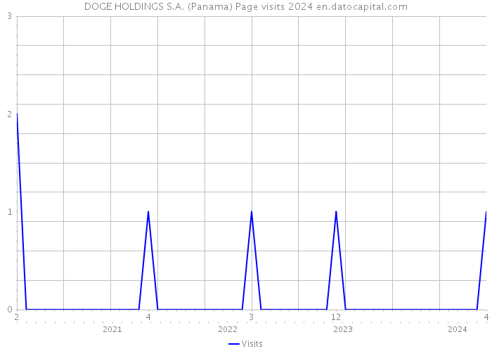 DOGE HOLDINGS S.A. (Panama) Page visits 2024 