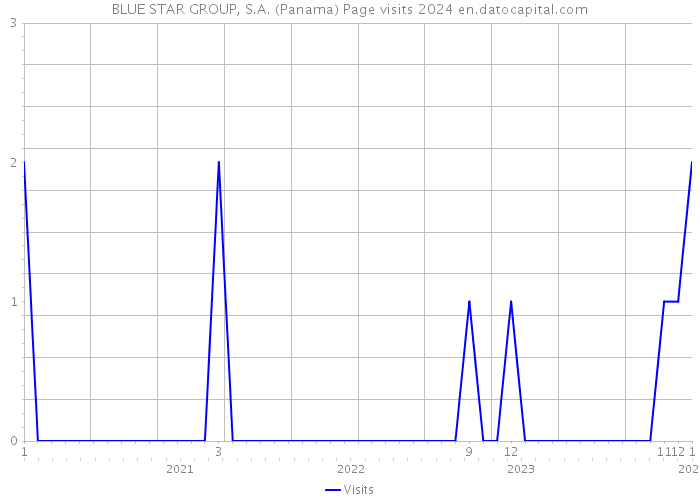 BLUE STAR GROUP, S.A. (Panama) Page visits 2024 