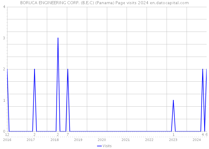 BORUCA ENGINEERING CORP. (B.E.C) (Panama) Page visits 2024 
