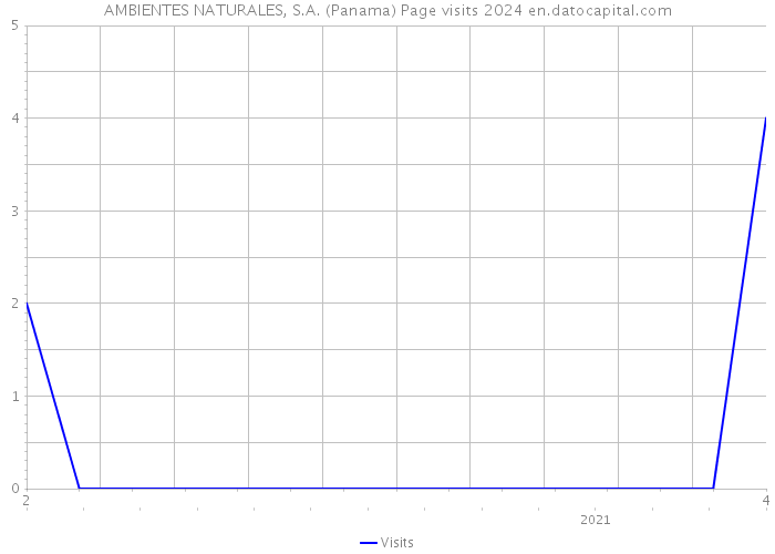 AMBIENTES NATURALES, S.A. (Panama) Page visits 2024 