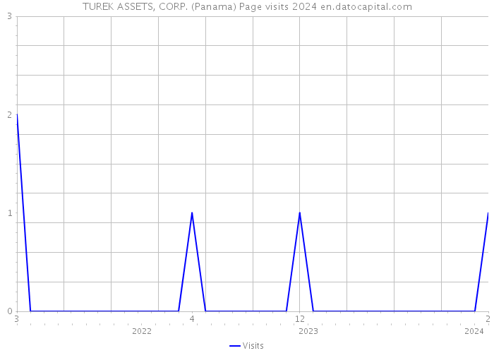 TUREK ASSETS, CORP. (Panama) Page visits 2024 